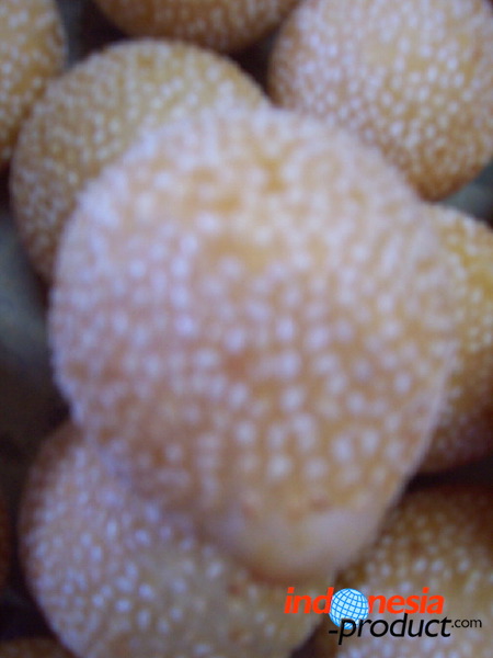bo-liem-onde-onde-m_1f862a8.jpg