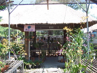 orchid-market-17