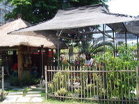 orchid-market-22