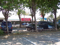 orchid-market-23