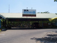orchid-market-42