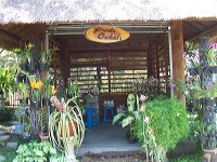 orchid-market-63