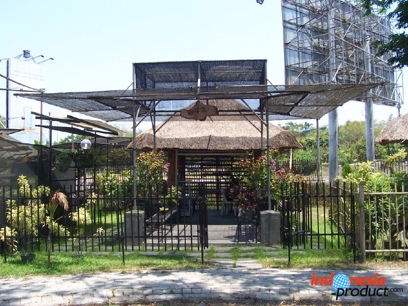 orchid-market-08.jpg