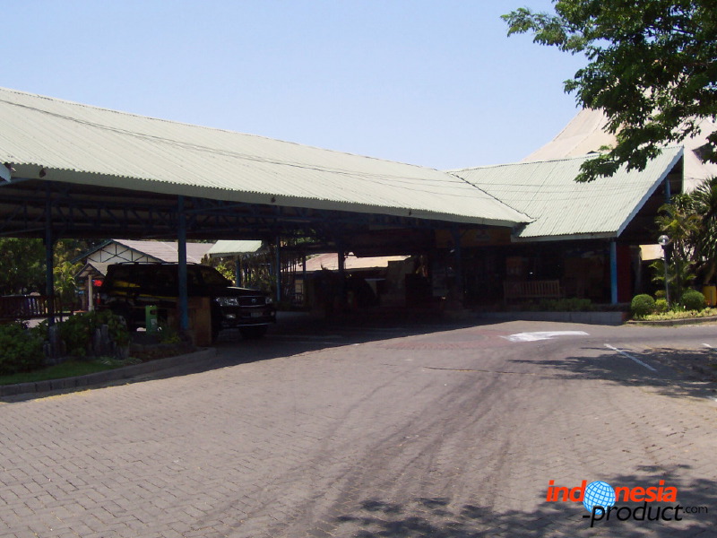 orchid-market-32.jpg