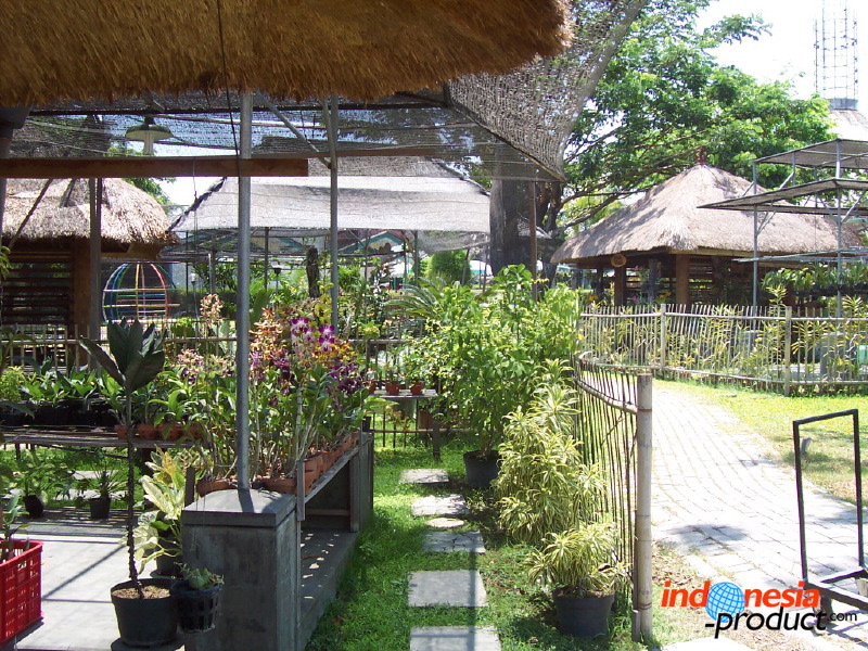 orchid-market-93.jpg