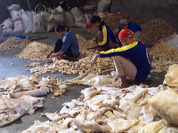 rambak-crackers-moj_1f86204