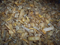 rambak-crackers-moj_1f86209