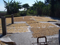 rambak-crackers-moj_1f8620c