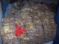 rambak-crackers-moj_1f86212