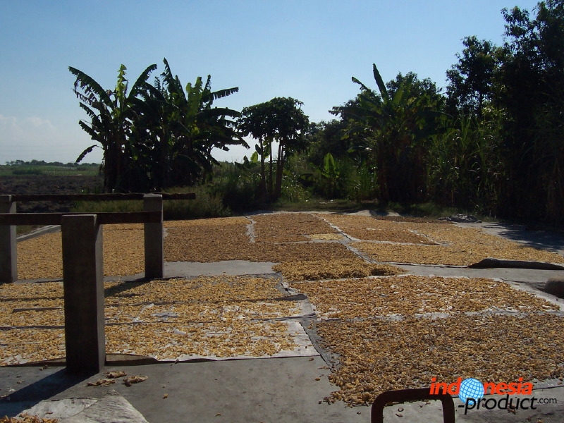 rambak-crackers-moj_1f8620d.jpg