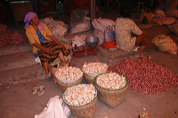 red-onion-market-08