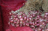 red-onion-market-13