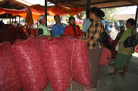 red-onion-market-16