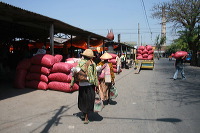red-onion-market-19