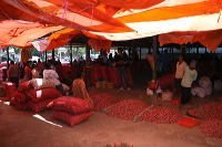 red-onion-market-20