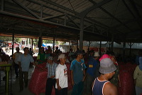 red-onion-market-21