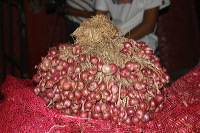 red-onion-market-24