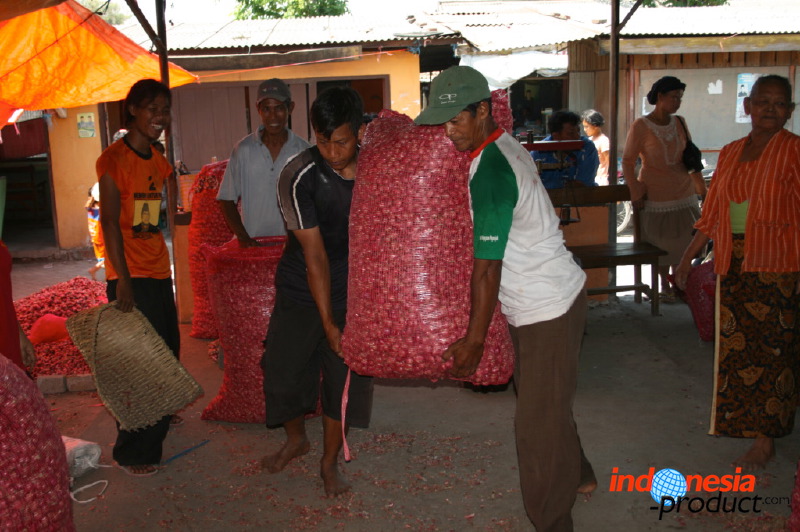 red-onion-market-01.jpg