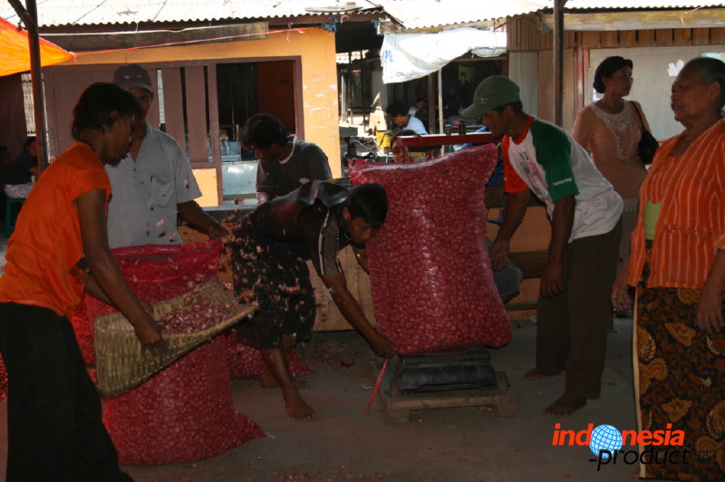 red-onion-market-02.jpg