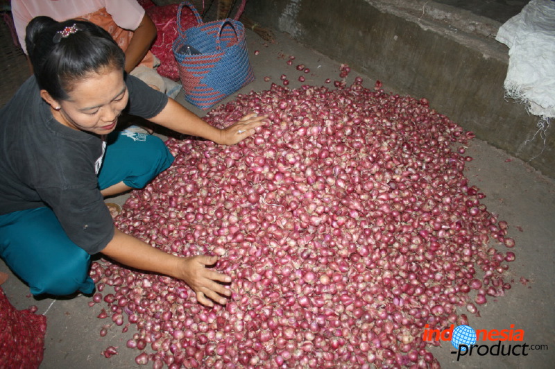 red-onion-market-10.jpg