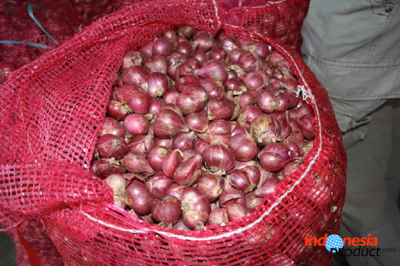 red-onion-market-12.jpg