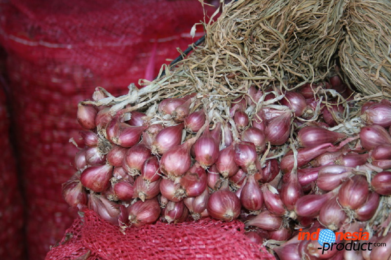 red-onion-market-13.jpg