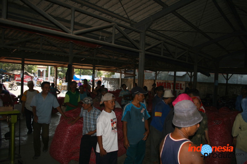 red-onion-market-21.jpg