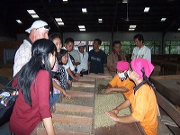 robusta-coffee-factory-13
