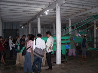 robusta-coffee-factory-15