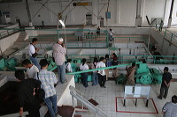 robusta-coffee-factory-17