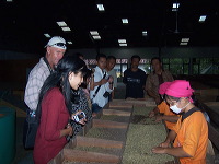 robusta-coffee-factory-18
