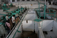 robusta-coffee-factory-38