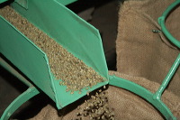 robusta-coffee-factory-39