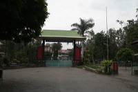 robusta-coffee-factory-41