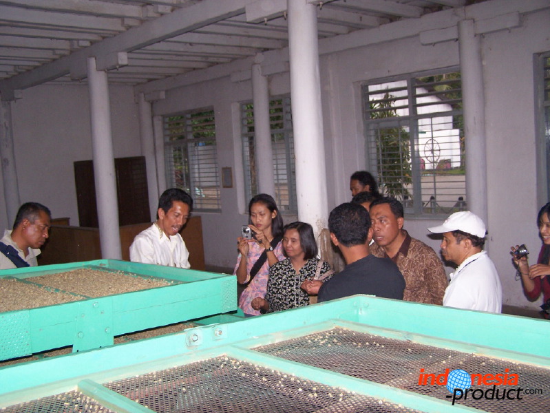 robusta-coffee-factory-03.jpg