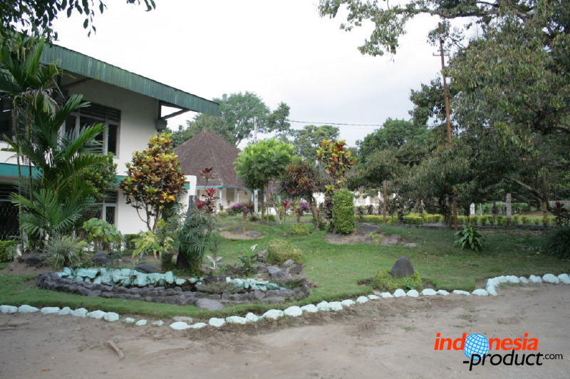 robusta-coffee-factory-05.jpg