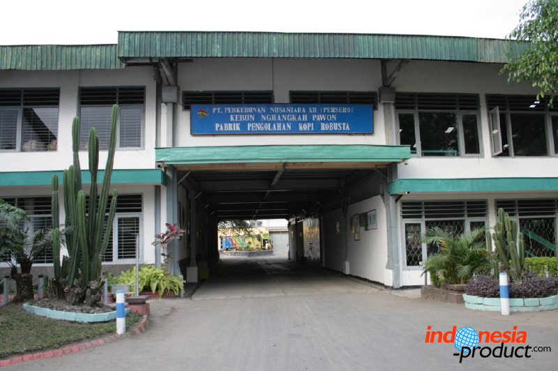 robusta-coffee-factory-07.jpg