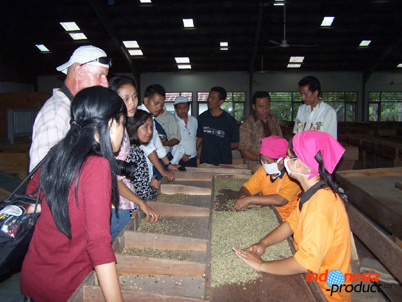 robusta-coffee-factory-13.jpg