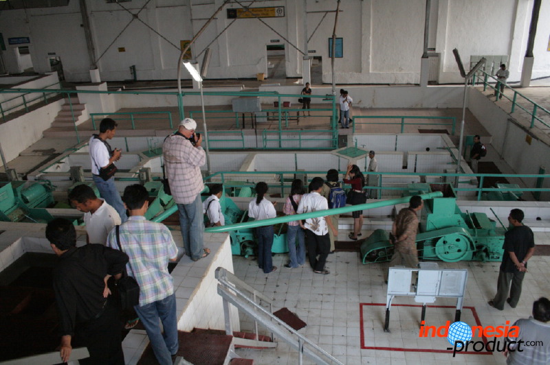robusta-coffee-factory-17.jpg