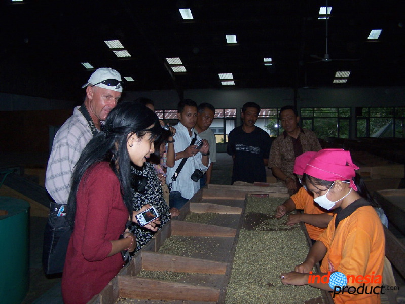 robusta-coffee-factory-18.jpg