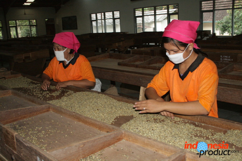 robusta-coffee-factory-19.jpg