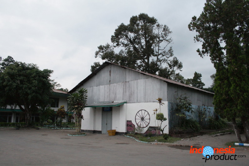 robusta-coffee-factory-21.jpg