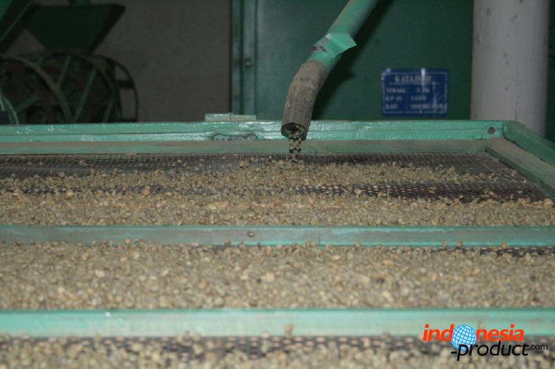 robusta-coffee-factory-24.jpg