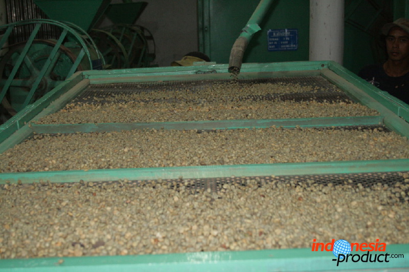 robusta-coffee-factory-37.jpg