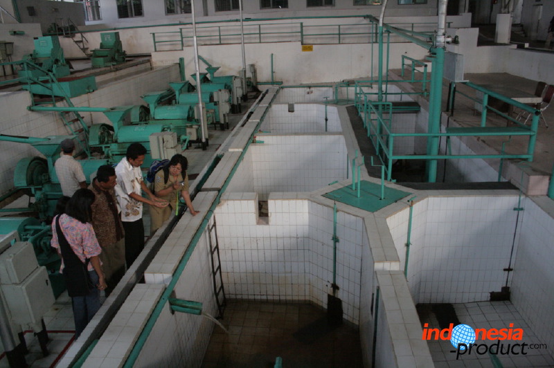 robusta-coffee-factory-38.jpg