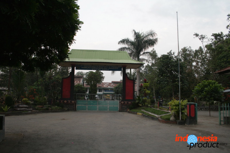 robusta-coffee-factory-41.jpg