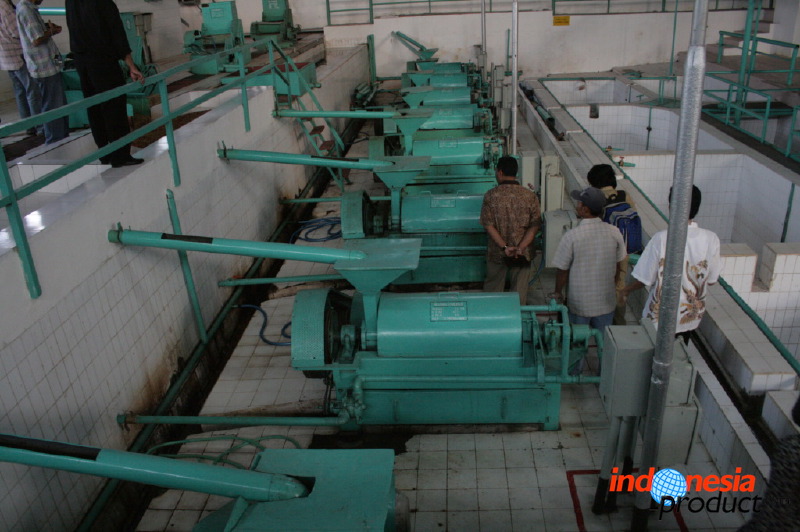 robusta-coffee-factory-44.jpg