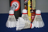 shuttlecock-01