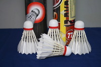 shuttlecock-02