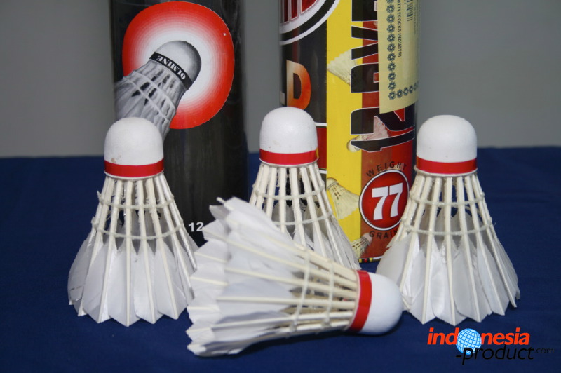 shuttlecock-01.jpg